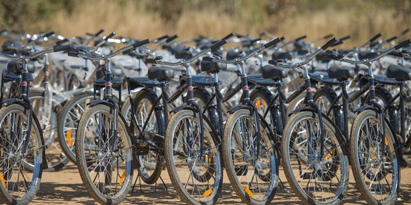 WBR_The_Bike2