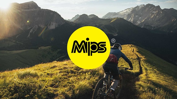 Zo werkt MIPS