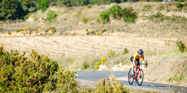 mgasch_STRADA12_190328__DSC0322