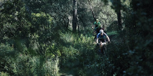 Roel-Stage-4-Andalucia-Mid-Res-768x510